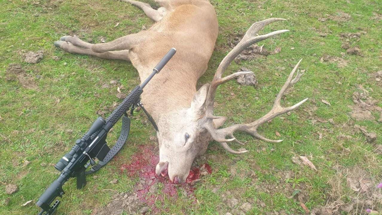 Large Animal Control