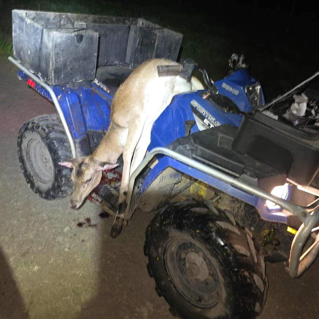 Managing Pest Animals Responsibly and Effectively